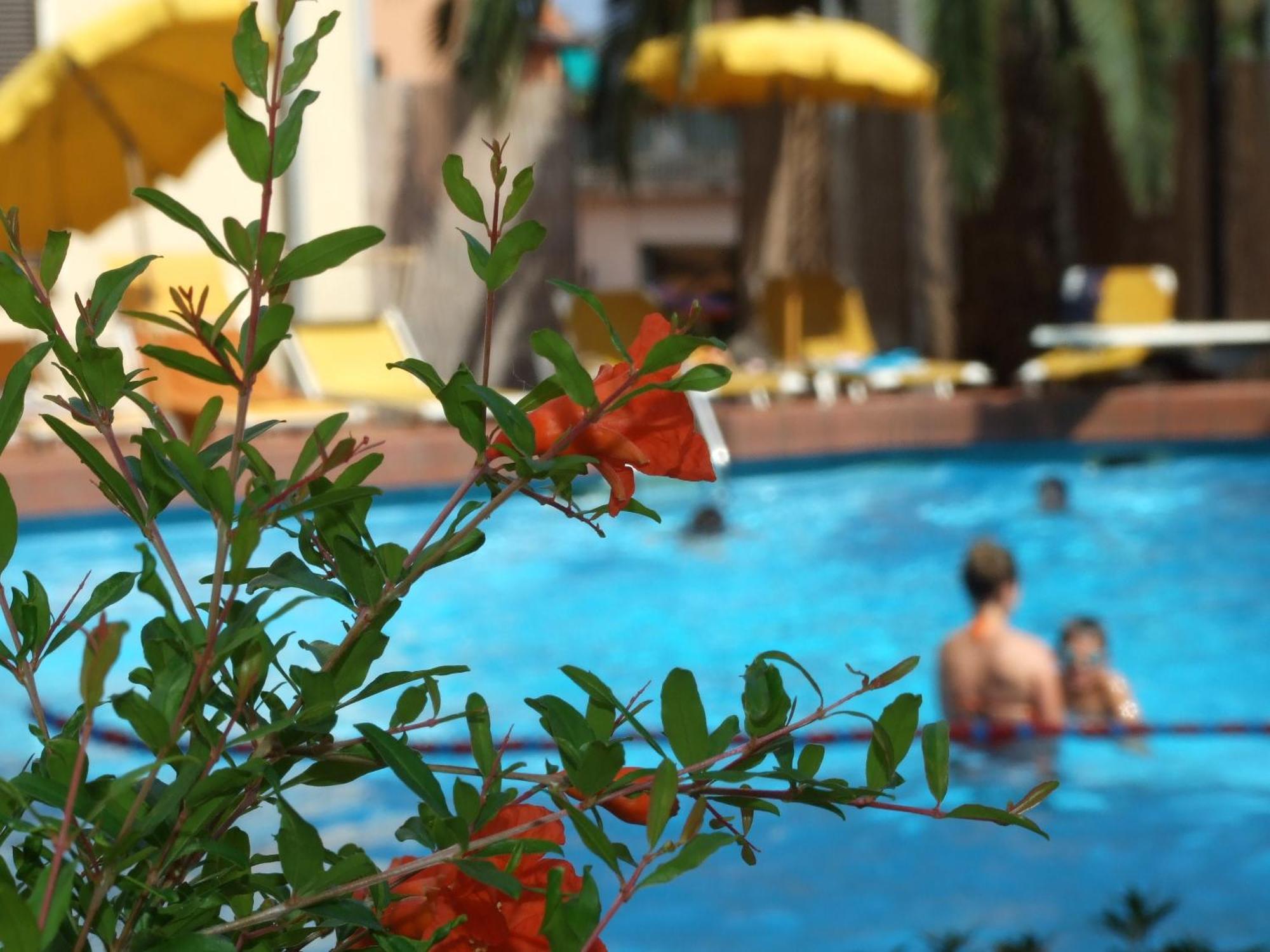 Hotel Coccodrillo & 3*